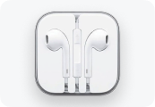 Earphone x 1 ($29.99)